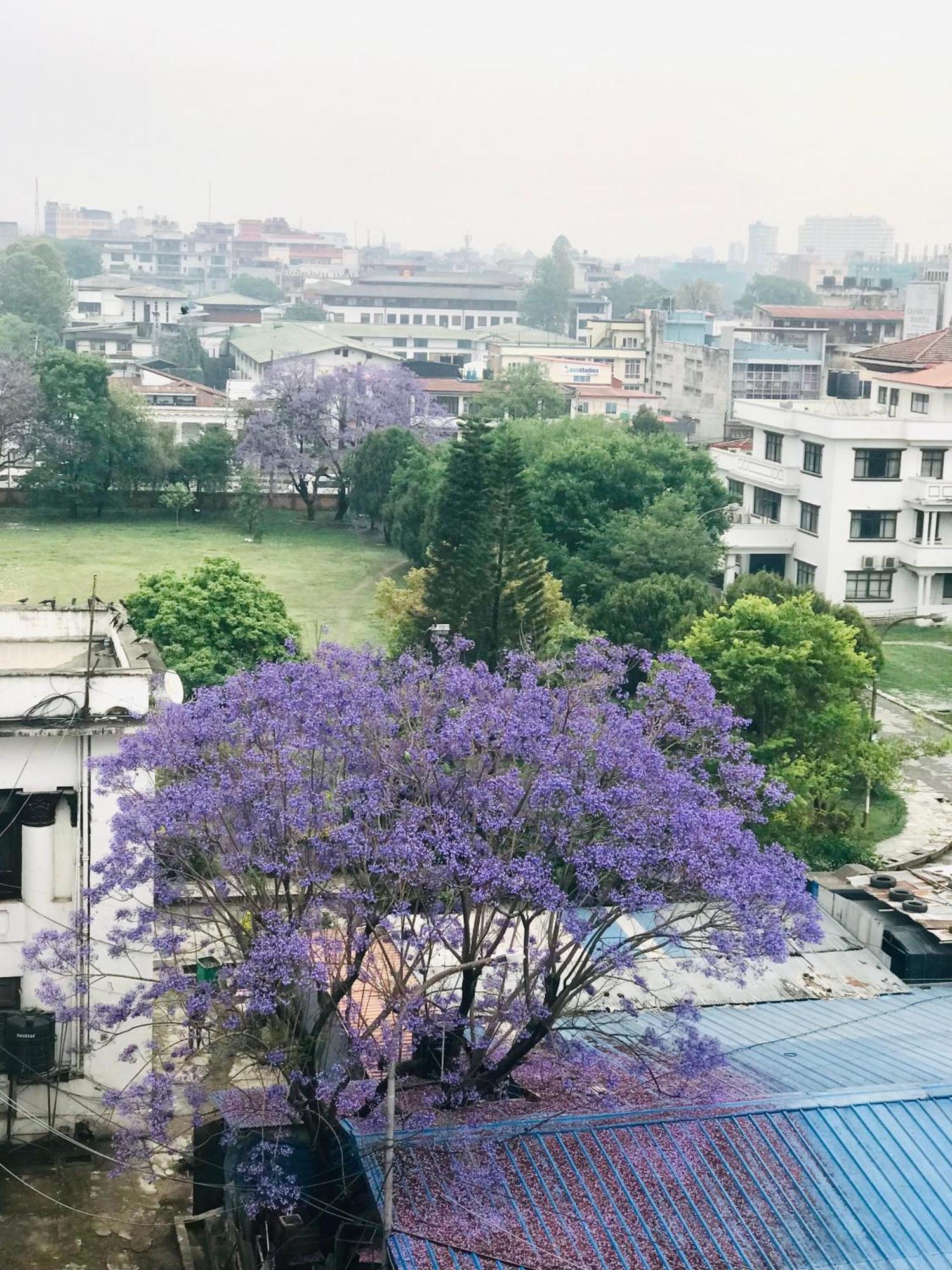 Hotel Maya Boutique And Apartment, Thamel Katmandu Dış mekan fotoğraf